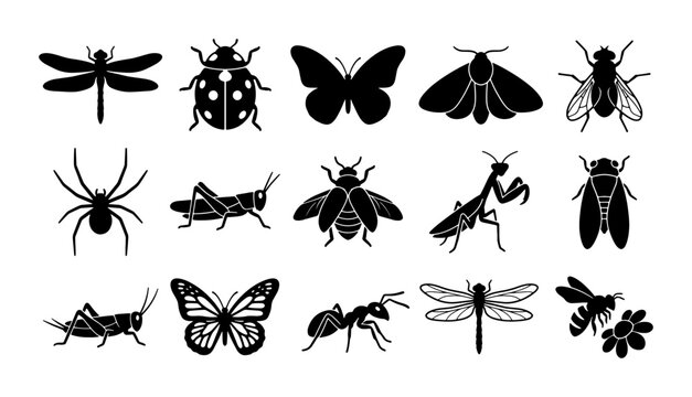 Black insect silhouettes collection, 15 bug icons set including butterfly and dragonfly, minimalist nature vector elements for educational design