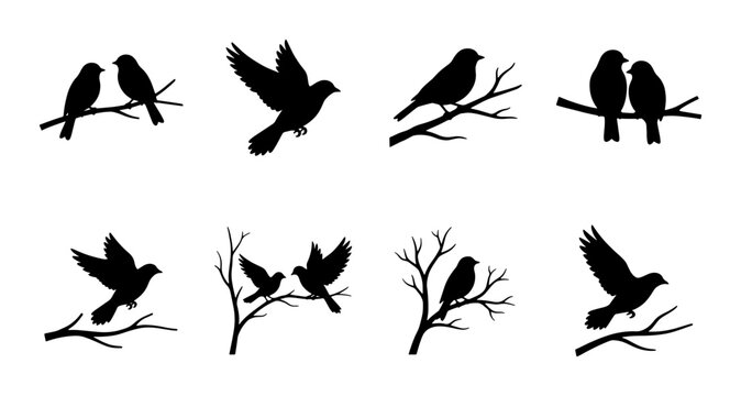 Black bird silhouette collection, set of 8 flying and perching songbirds on tree branches, minimalist avian vector icons for nature design