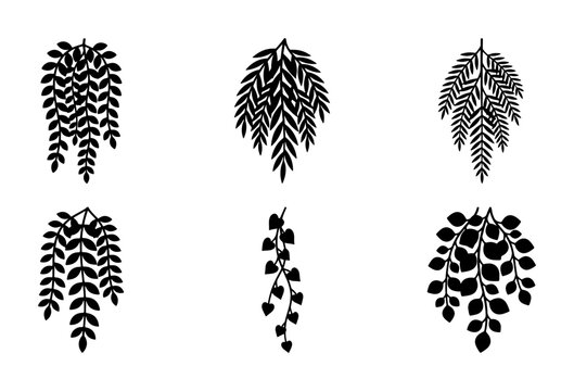Minimalist hanging plants silhouette collection, set of 6 black botanical vector icons, trailing ivy and fern leaf foliage elements for logo design