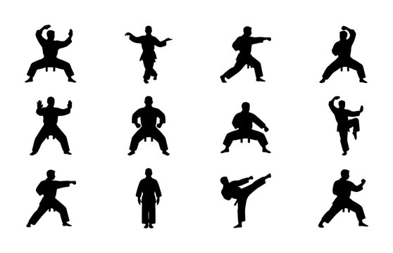 Martial arts silhouette collection, 12 karate and kung fu fighter vector icons, black combat sport poses on white background