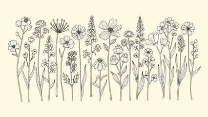 Diverse collection of detailed botanical wildflower illustrations in black and white © Sadman Art