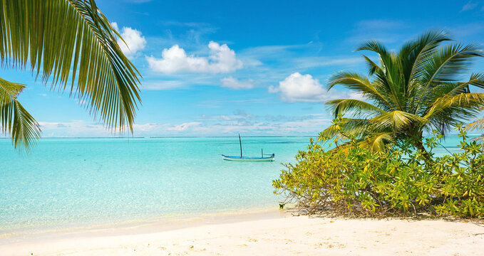 Panoramic nature view of a tropical beach in the Maldives with a traditional boat in turquoise water and green palm trees. A bright spring and summer paradise scene under a blue sky.