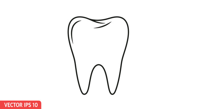 Simple outline of a human tooth against a white background