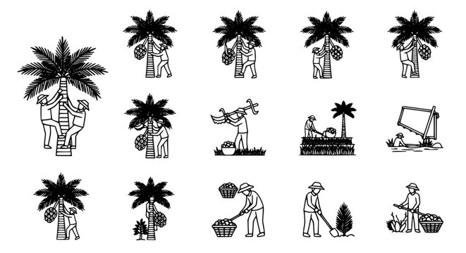 Traditional oil palm harvesting and cultivation vector icon set featuring workers climbing trees, collecting fruit bunches, and plantation maintenance in a clean black and white line art style.