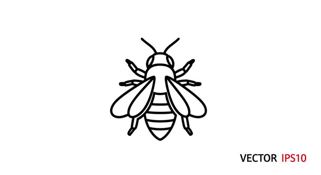A minimalist black outline drawing of a bee on a white background