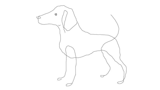 Dog The Fourth in the kingdom of dogs