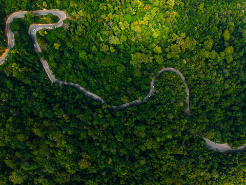 Serpentine road winding across dense treetop canopy from above, travel trip concept