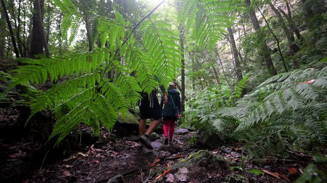 Couple and Dog Hiking through the Laurel Forest at Cubo de La Galga; La Palma Canary Islands Ancient Jungle Trek; Pet-Friendly Travel in Laurisilva Nature Reserve