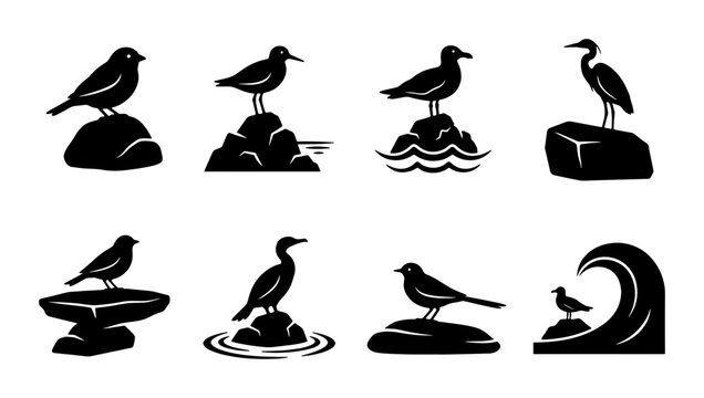 Minimalist coastal bird silhouettes on rocks, set of 8 black sea bird icons, nautical shorebird vector graphics for marine logos and nature branding
