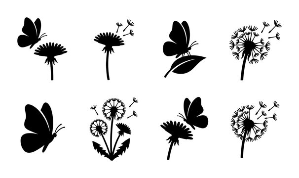 Black dandelion silhouette icons with flying butterflies, set of 8 floral vector elements, blowing seeds and spring meadow plants on white background