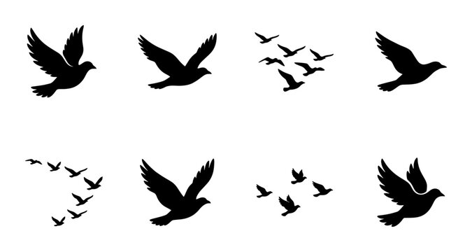 Black bird silhouettes set, flying dove and pigeon vector icons, flock of birds in flight, minimalist animal wing shapes for logo design