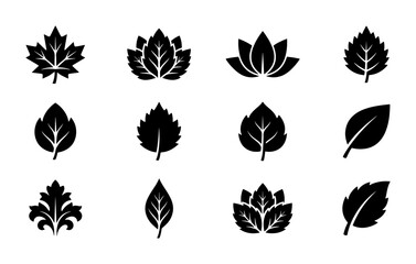 Obraz premium Minimalist black leaf icons set, 12 botanical vector elements for logo design, organic foliage silhouettes, natural plant leaf symbols on white background