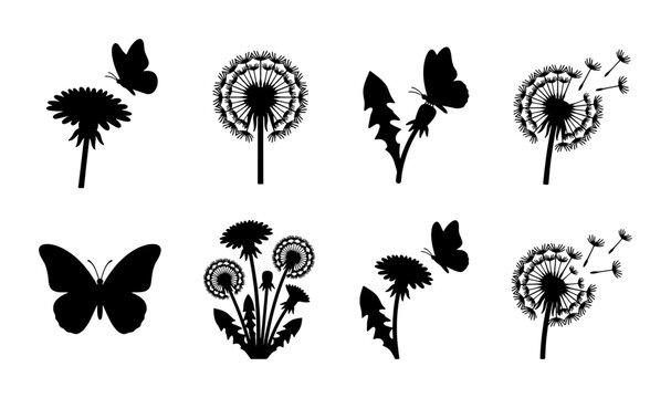 Black dandelion silhouette collection with butterflies, floral vector set of 8 icons, botanical garden elements for summer design and nature decor