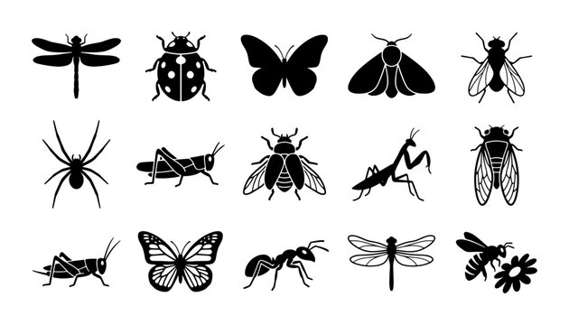Black insect silhouette icons set, 15 vector bug illustrations, minimalist butterfly and dragonfly symbols, nature and entomology graphic elements