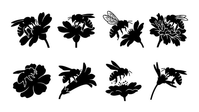 Honey bee silhouette set, black bumblebee icons on flowers, 8 botanical insect vector elements for nature logos and garden branding