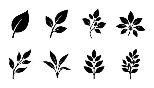 Minimalist leaf icons set, black botanical foliage silhouettes, 8 organic plant branch vector elements for eco-friendly branding and logo design