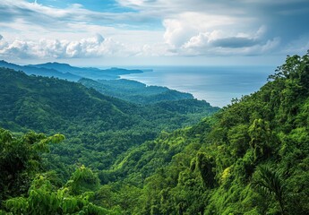 Naklejka premium Lush Tropical Rainforest Cascade to Coastal Ocean Vista