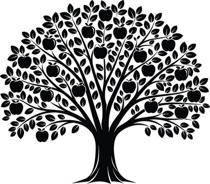 Apple tree silhouette, decorative black trunk, symmetrical branches, detailed leaves, apples illustration, nature concept, growth symbol, fruit abundance, eco art vector
