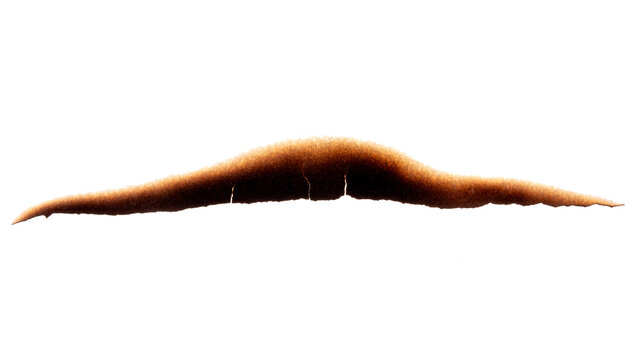 Burnt paper edge with dark scorch marks and curved burned shape
