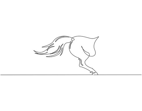 Continuous one line drawing of horse tail. One line drawing illustration of horse tail. Animal concept single line. Editable outline