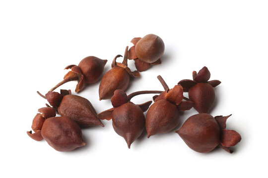 Linden flowers (Flor de Tila)