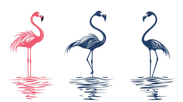 Three stylized flamingo illustrations in pink and blue, with reflections on water