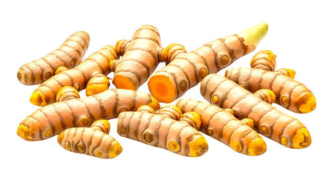 Golden Turmeric Roots: Vibrant turmeric roots, their earthy hues and potent form, provide a foundation for wellness and culinary innovation.