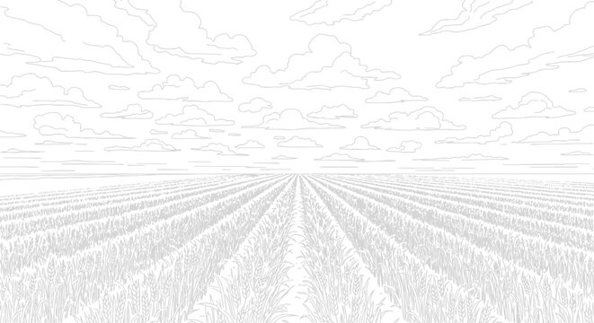 Stylized Aerial View of Agricultural Crop Field under Cloudy Sky, Rural Landscape