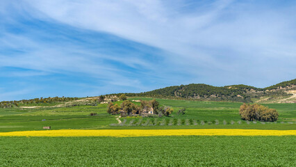 Fototapeta premium Paysage printanier du nord-ouest de la Tunisie