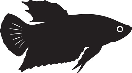 Obraz premium Betta fish in silhouette..