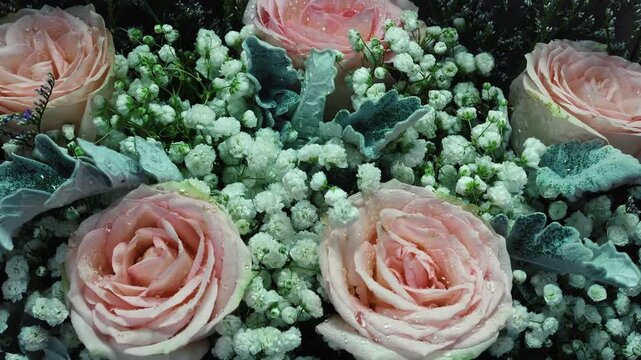 Pink roses and baby's breath blooming, Rosa and Gypsophila paniculata in festive bouquet, romantic wedding celebration centerpiece, slow motion
