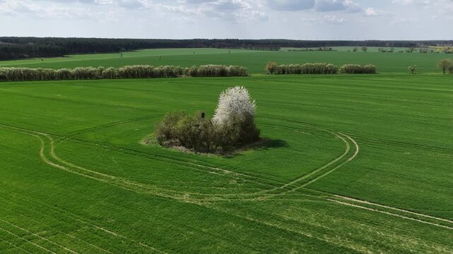 K&ouml;selitz. Umrundung der ehemaligen Windm&uuml;hle mit der Drohne. 