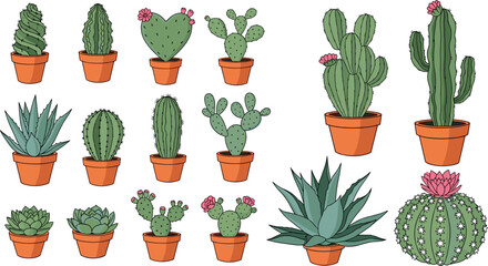 Large collection of various cactus and succulent plants in clay pots isolated on white background vector illustration for home garden decor © Lunavera art