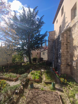 Huerto urbano con parcelas de cultivo junto a una pared de piedra y &aacute;rboles bajo un cielo azul en Burgos, Espa&ntilde;a