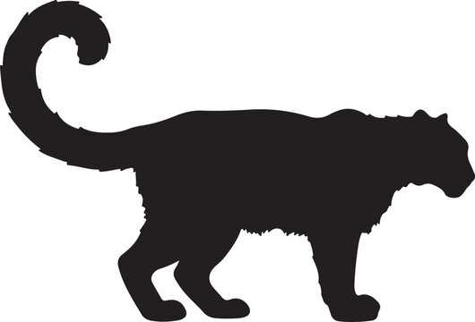 Snow leopard in silhouette.