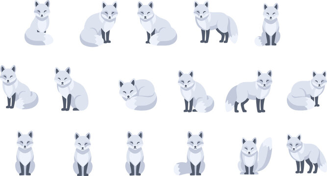 Arctic Fox Character Set in Minimal Cartoon Style with Various Poses Featuring Winter Wildlife Animals for Illustration, Branding, Animation, and Creative Design Projects.