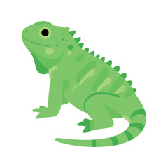 Fototapeta premium Illustration of a light green iguana with its body positioned to the right against a white background