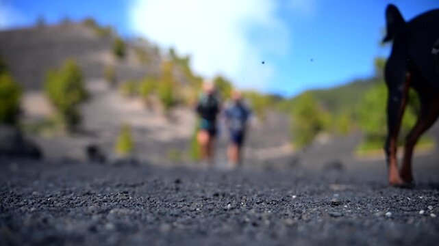 Couple and Dog Hiking the Ruta de los Volcanes in La Palma; Active Lifestyle and Pet-Friendly Travel Canary Islands; Adventure Trekking on Volcanic Ridge with Pet