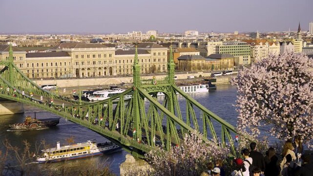 Budapest Liberty Bridge and Danube River Aerial View with Corvinus University Architecture, Gellert Hill Lookout, and Spring Cherry Blossoms, Hungary