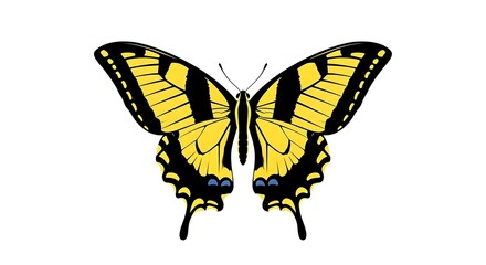 Fototapeta premium A yellow and black butterfly with its wings spread