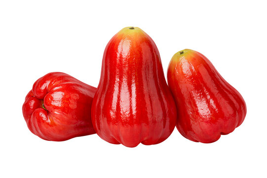 red wax apples isolated transparent background tropical fruit fresh organic healthy food