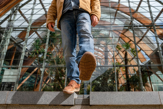 Person steps off a ledge inside a large glass building with wooden structures