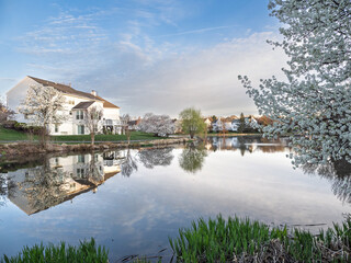 Fototapeta premium Ashburn Village Virginia residential lakefront home with blooming trees