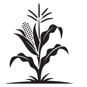Black silhouette of a corn plant with cob vector illustration