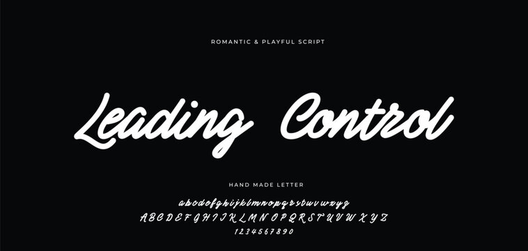 Hand drawn vector alphabet. Modern monoline signature script font. Elegant Signature Font. Best Alphabet Beautiful Calligraphy Signature Font.