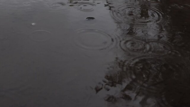 Raindrops falling into puddle creating circles on the surface as backdrop