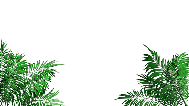 animated Tropical Palm Leaves - alpha mask - 3D rendering loop animation