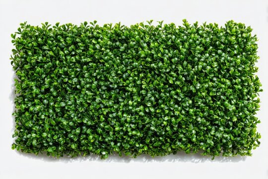 Artificial green foliage panel against a white backdrop, bright lighting and realistic texture