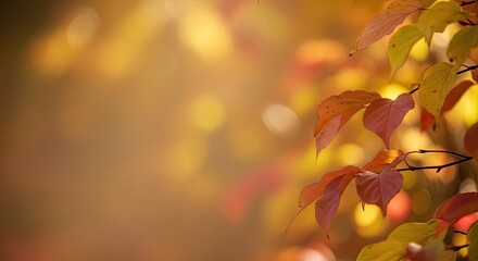 Fototapeta premium Autumn Leaves with Blurred Background and Copy Space.