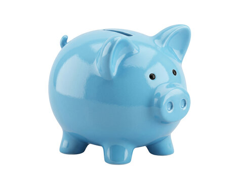 Cute light blue piggy bank in pig shape with money box farm animal currency investment treasure adorable domestic collecting